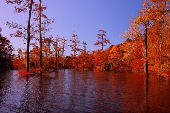 Listening in Autumn: “Thin Time” in North Louisiana