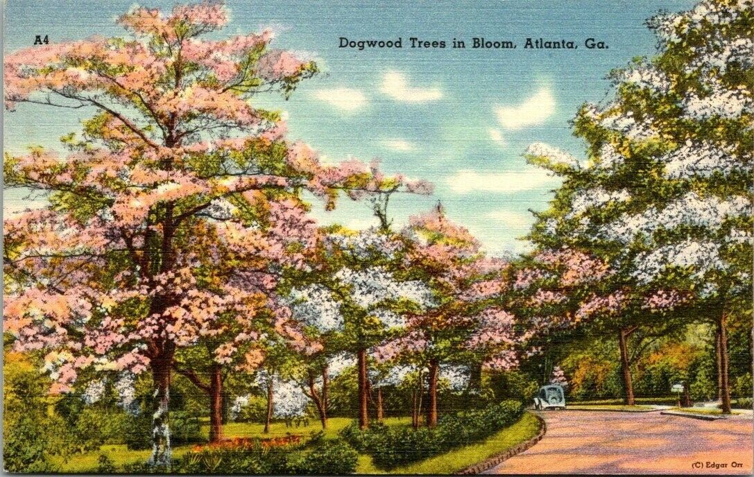 The Legend of the Dogwood