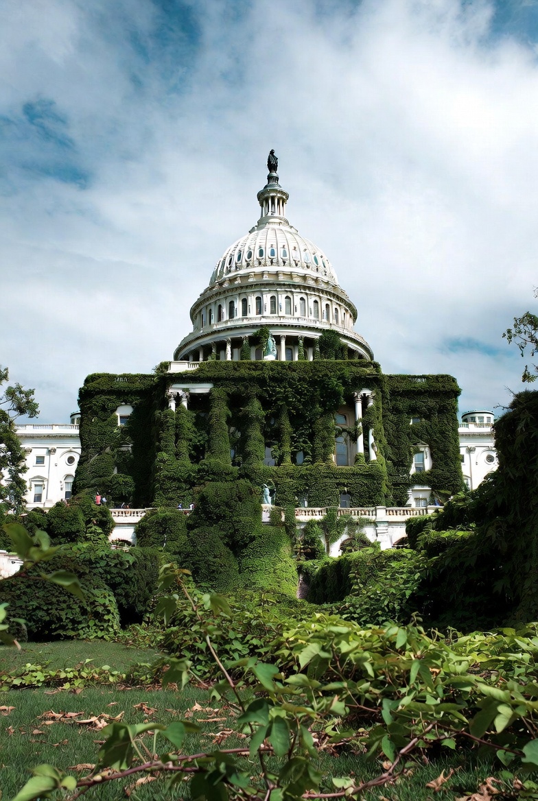 A Government of Kudzu
